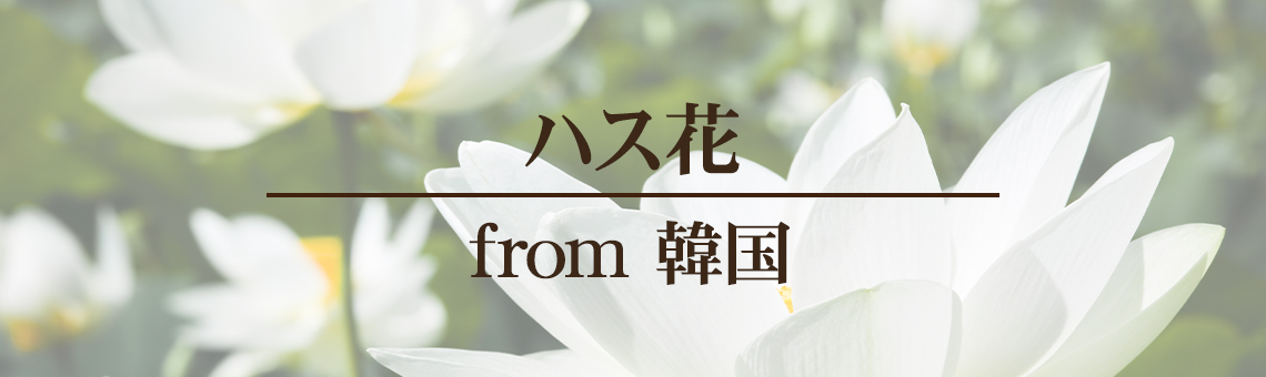 ハス花from 韓国