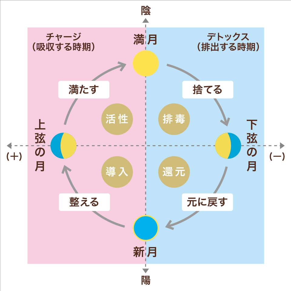 月のメカニズム