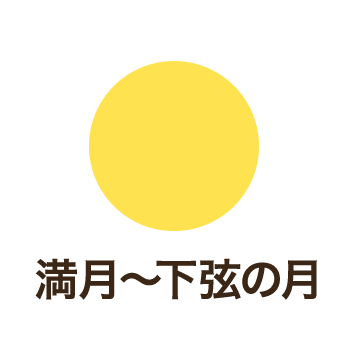 満月 - 下弦の月