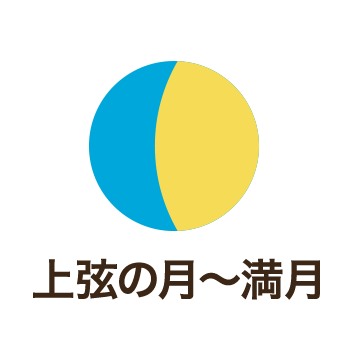 上弦の月 - 満月