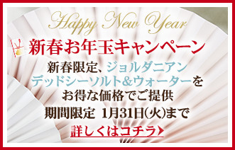 新年お年玉キャンペーン