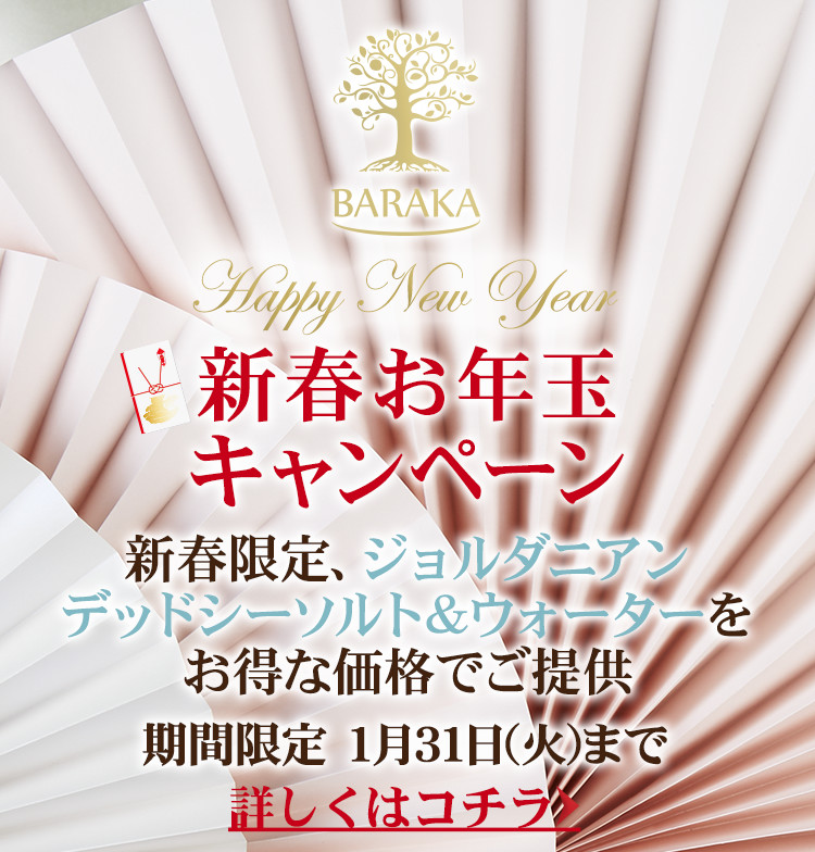 新年お年玉キャンペーン